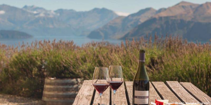 6. Go wine tasting at Rippon - Things to do in Wanaka