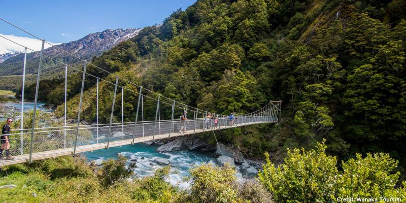 9. Get up close and personal with cows and a glacier… yes you read that right! - Things to do in Wanaka