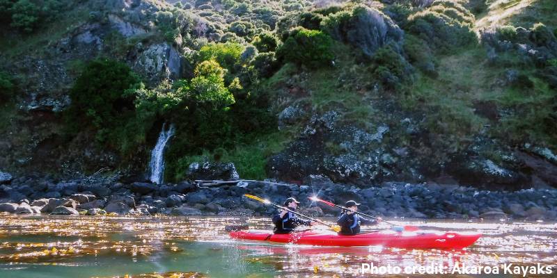 2. Rent a kayak in Akaroa for the day - Things to do in Akaroa