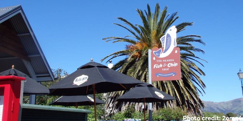 4. Get the best fish and chips in the South Island - Things to do in Akaroa