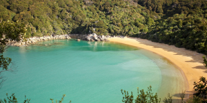 what to do in nelson