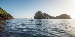 what to do in northland