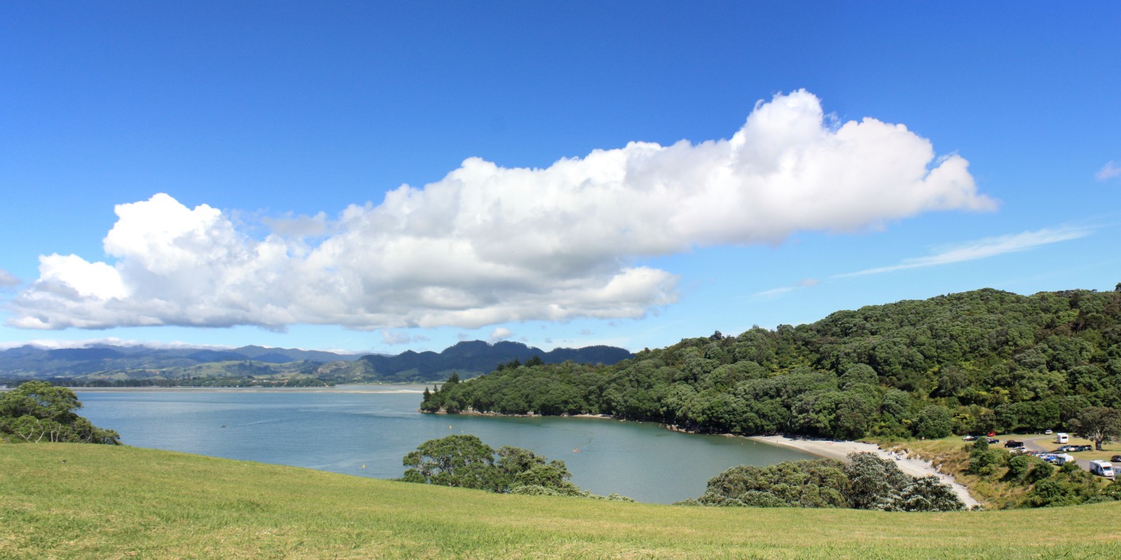 Things To Do In Waihi Beach Out Top List Bachcare Blog