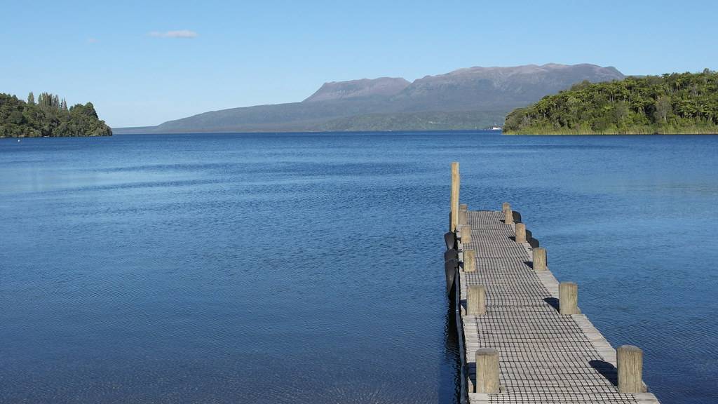 Walk Around Lake Tikitapu (Blue Lake) - 21 Best Things to Do in Rotorua, Rain or Shine