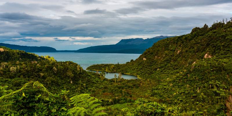 8. Walk the Lake Tarawera Trail - 21 Best Things to Do in Rotorua, Rain or Shine