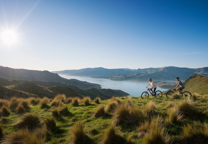 what to do in christchurch