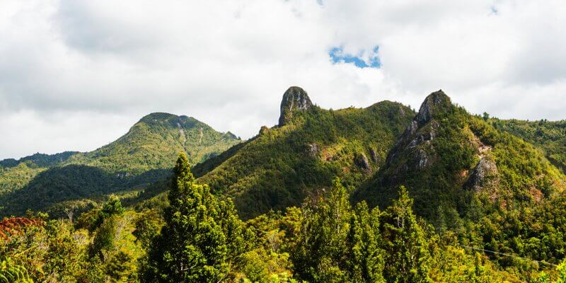 The Pinnacles best walks in the Coromandel