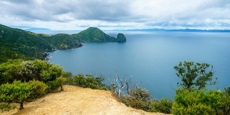 Walks in Coromandel - Coastal Walkway