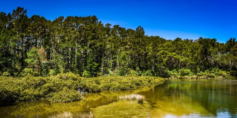 Coromandel Hikes - Wentworth Valley