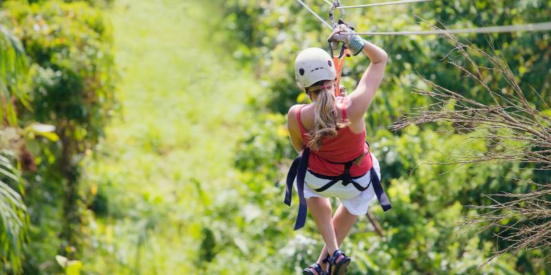 Fly through the forest by zip line - Things To Do In Waiheke Island
