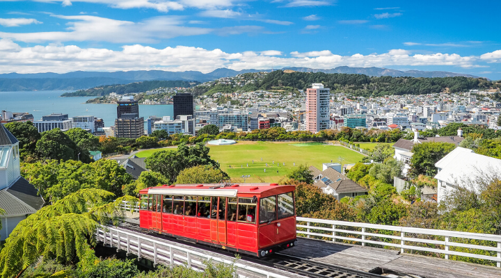 things to do in wellington