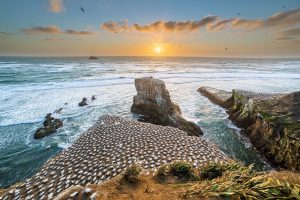 7 free things to do in auckland