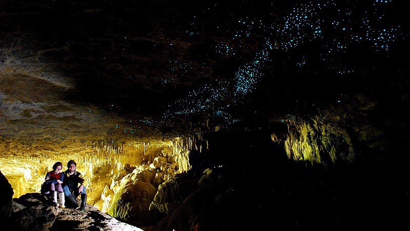 Waitomo Caves