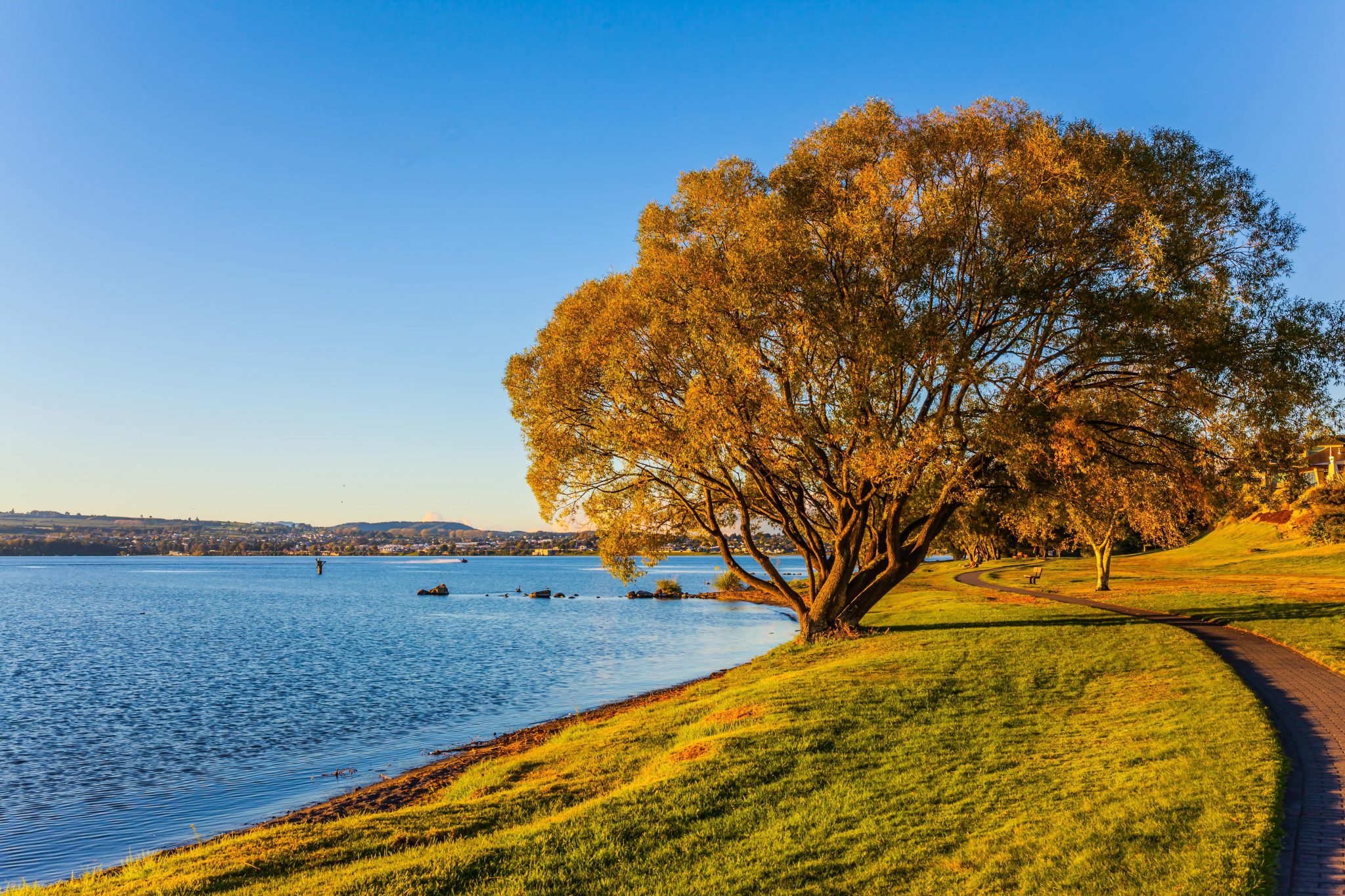 Group Taupo Our Best Family Holiday Homes Bachcare Blog