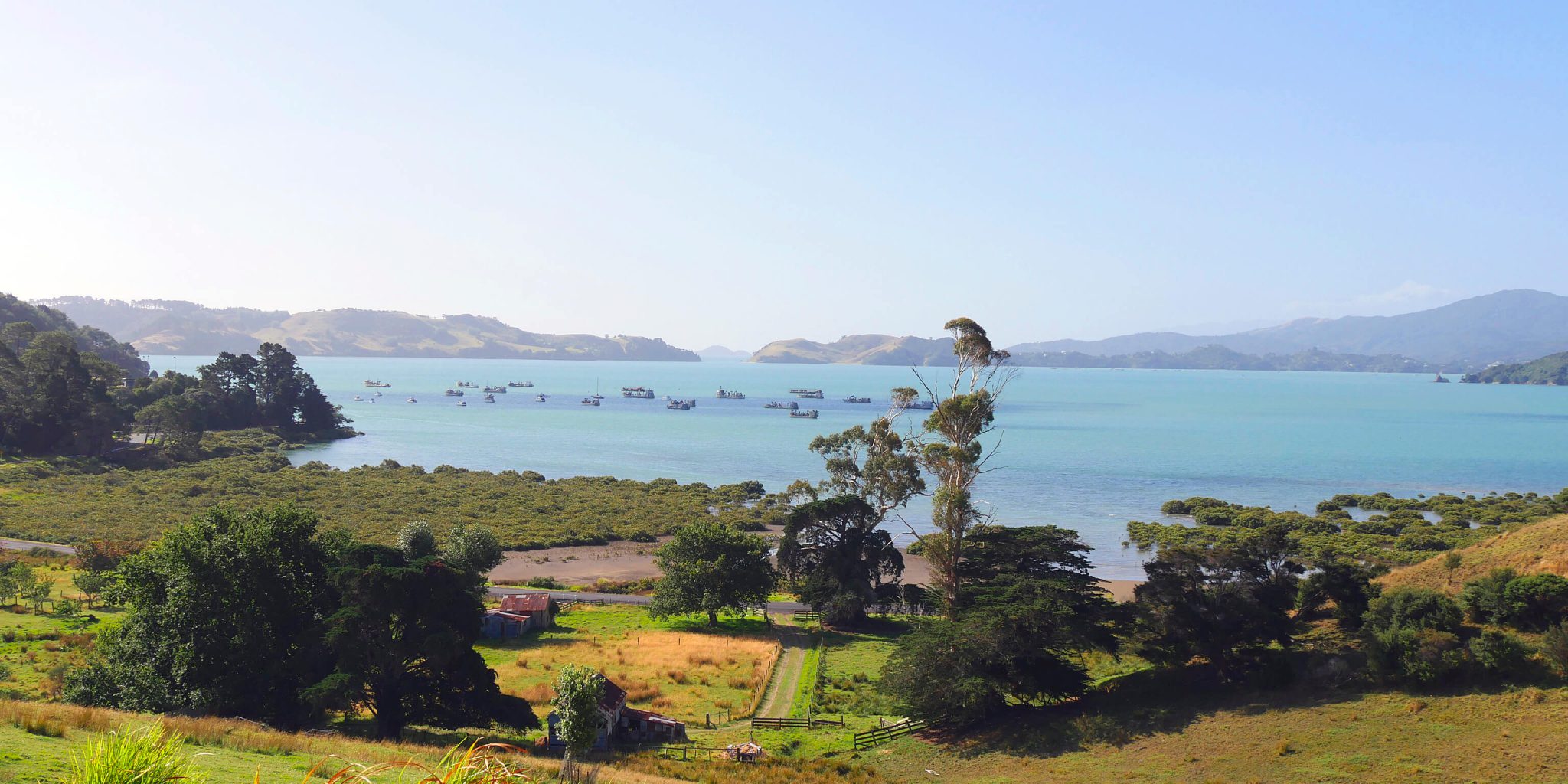Coromandel Walks 8 MustDo Hikes Bachcare Blog