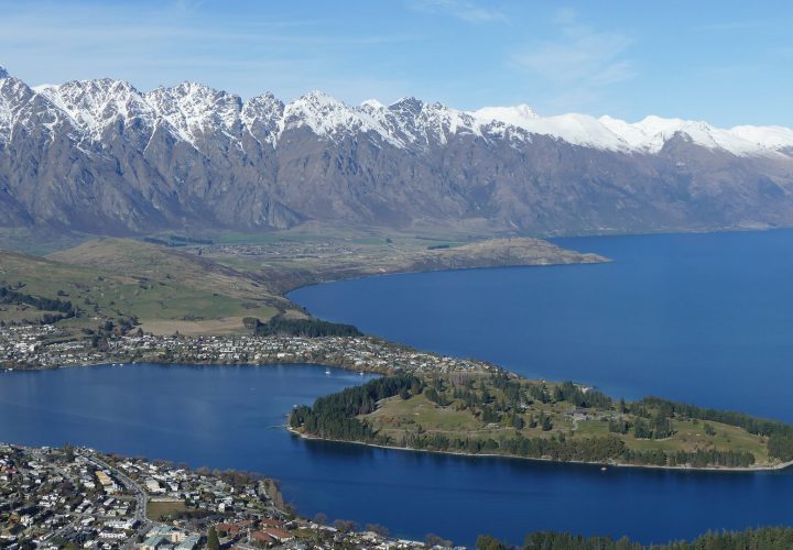 queenstown to wellington road trip