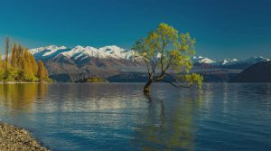 Wanaka