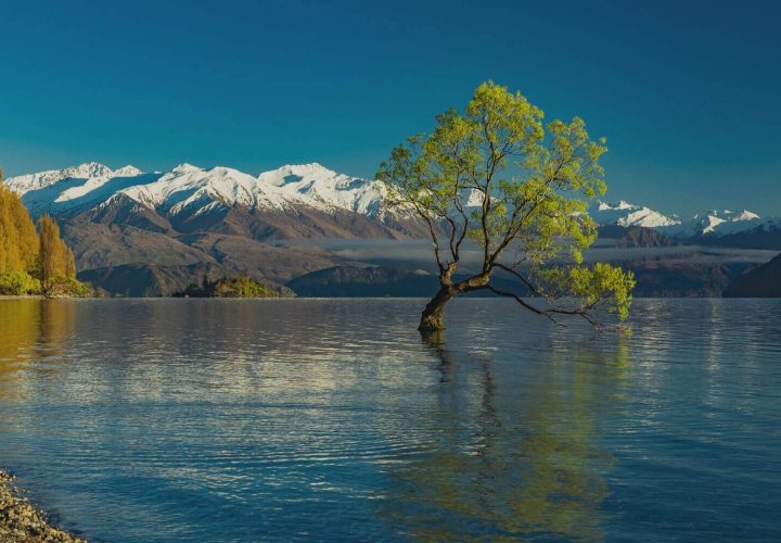 Wanaka