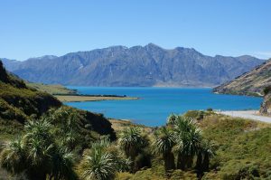 things to do in otago
