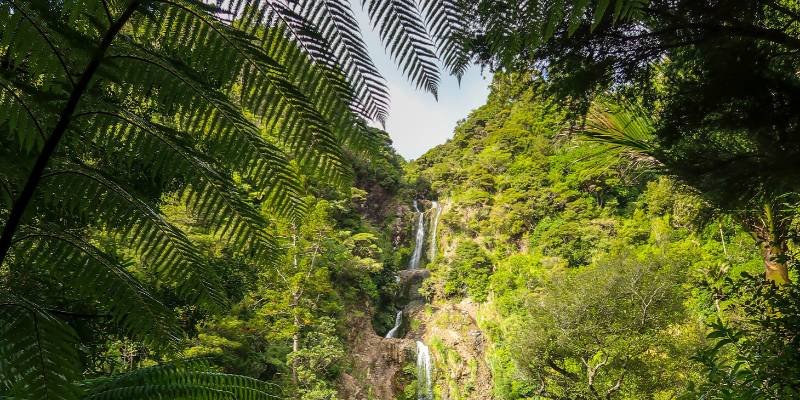 Chase some waterfalls - Things to do to in Piha