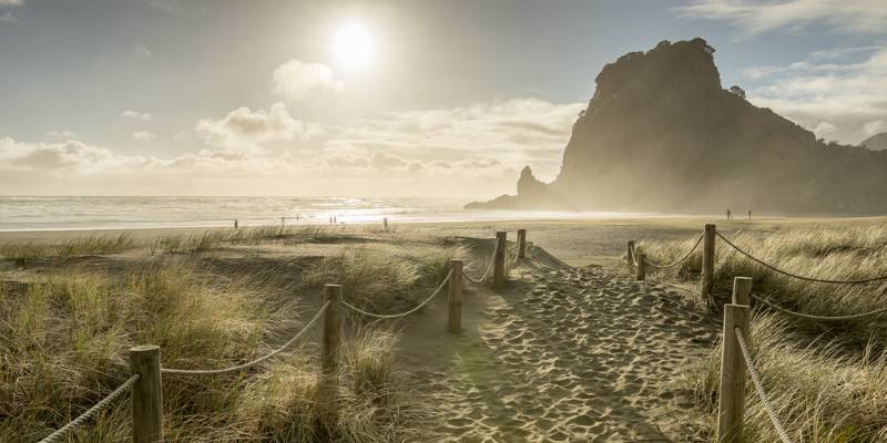 Things to do to in Piha