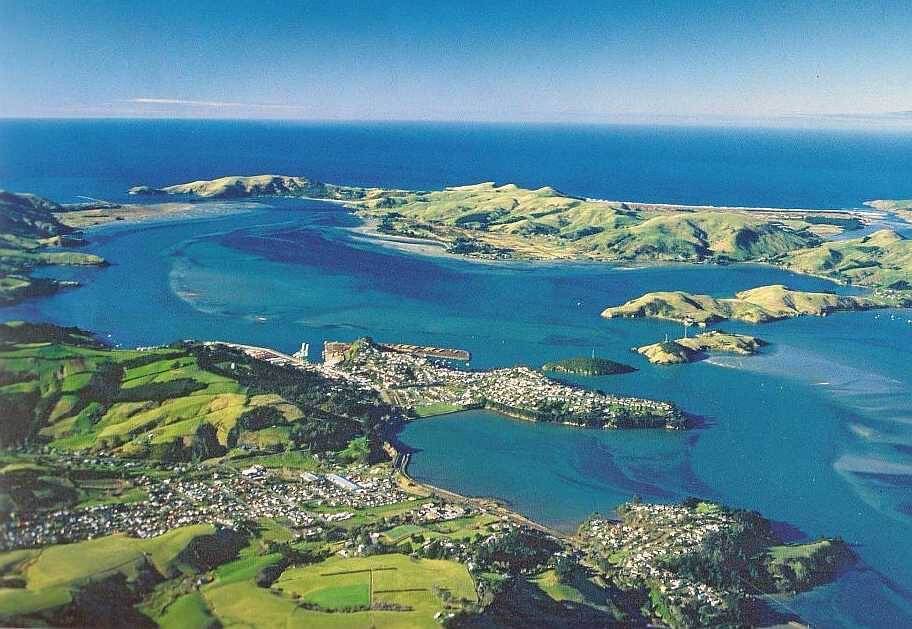 Aramoana Mole Scuba Diving - Top Scuba Diving Locations in New Zealand