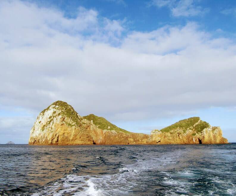 Poor Knights Island Scuba Diving - Top Scuba Diving Locations in New Zealand