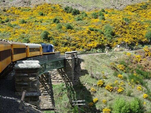 Taieri Gorge Railway - Discovering the Secrets of New Zealand on a Scenic Rail Journey