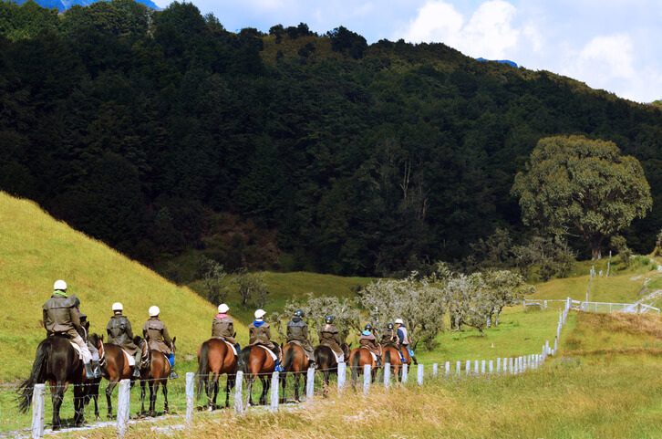 Horse Riding in Glenorchy