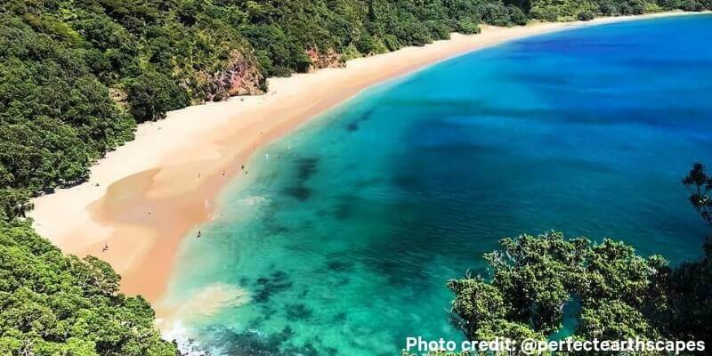 New Chums Beach - Things to do in Coromandel