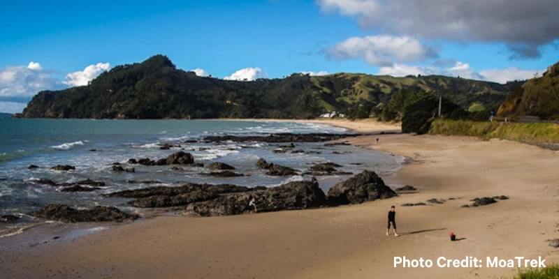Things to do in Whitianga - Visit one of the country’s top 10 beaches