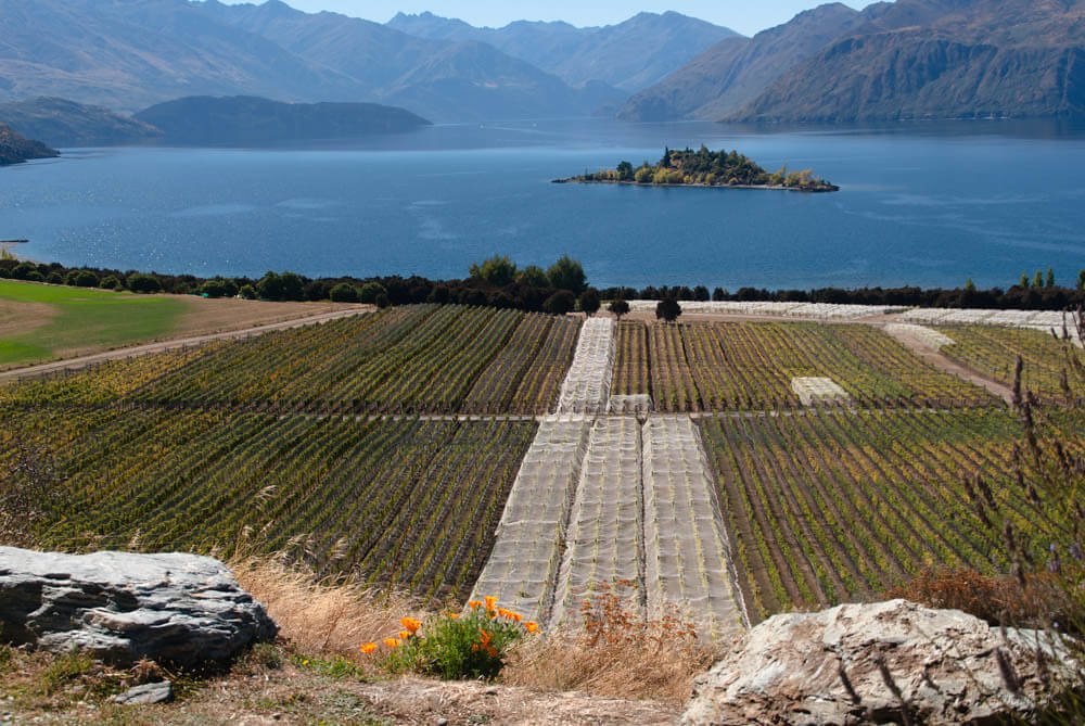 Rippon Winery in Queenstown