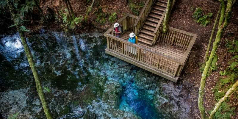Hamurana Springs - The Blue Springs