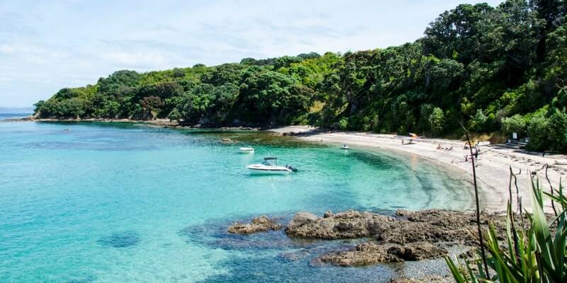 Tiritiri Matangi Island