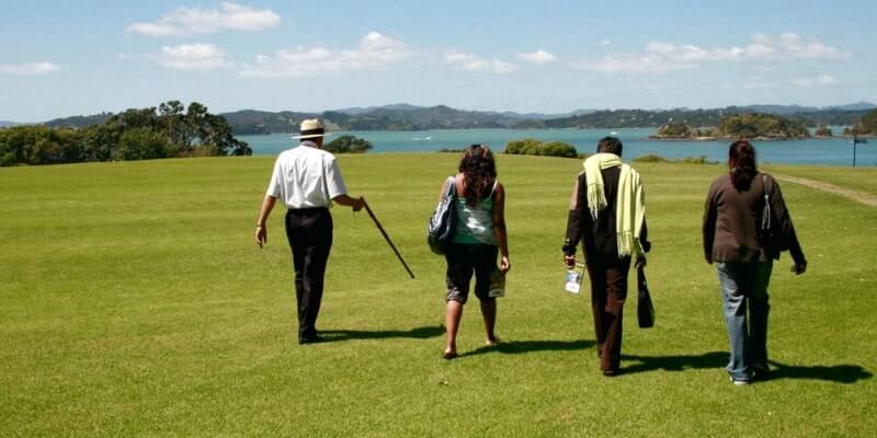 Waitangi Treaty Grounds - Things to do in Paihia